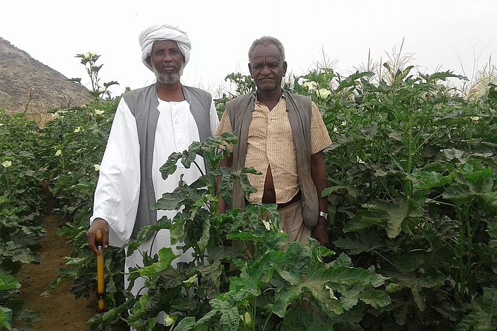 Zwei Sudanesen zwischen grünen Pflanzen
